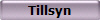 Tillsyn